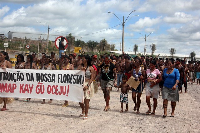 deforestazione-protesta