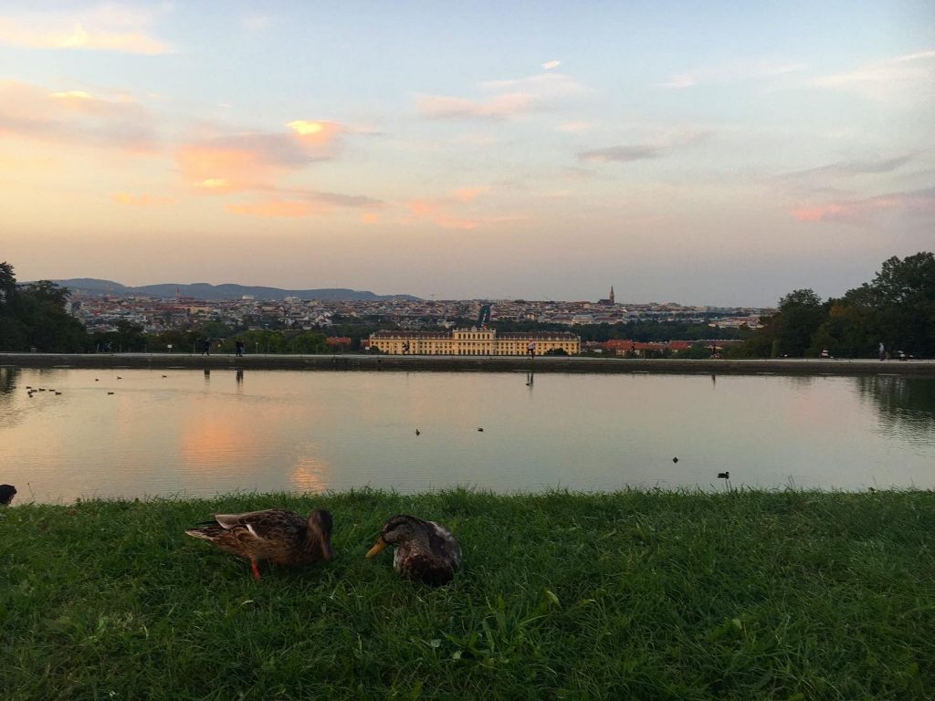 schönbrunn